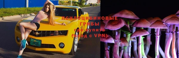 ГАЛЛЮЦИНОГЕННЫЕ ГРИБЫ Горняк