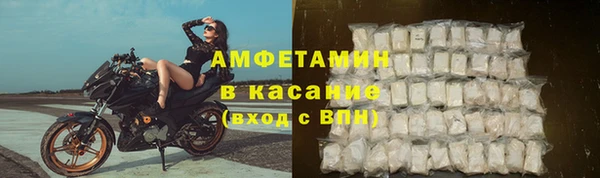 ГАЛЛЮЦИНОГЕННЫЕ ГРИБЫ Горняк