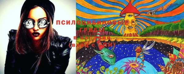 ГАЛЛЮЦИНОГЕННЫЕ ГРИБЫ Горняк