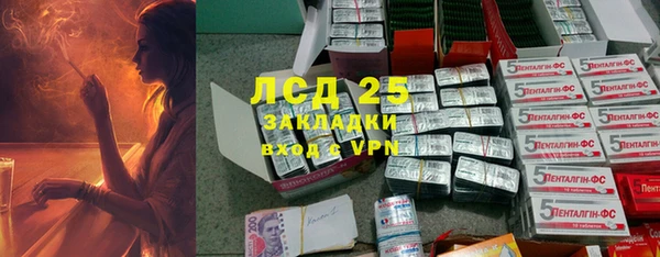 ГАЛЛЮЦИНОГЕННЫЕ ГРИБЫ Горняк