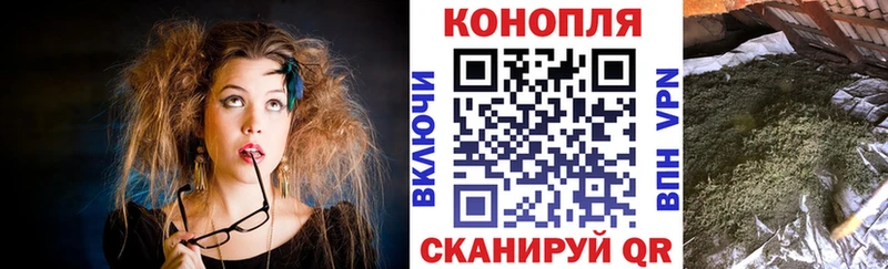 Каннабис ГИДРОПОН  Иланский 